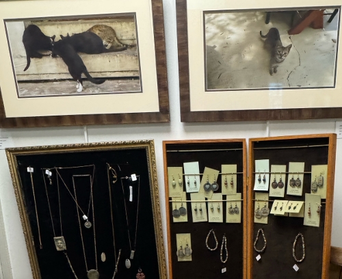 gift shop,2025,T.King