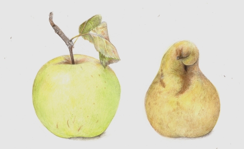 V.Steadman, Lovely Apple, Ugly Pear, painting